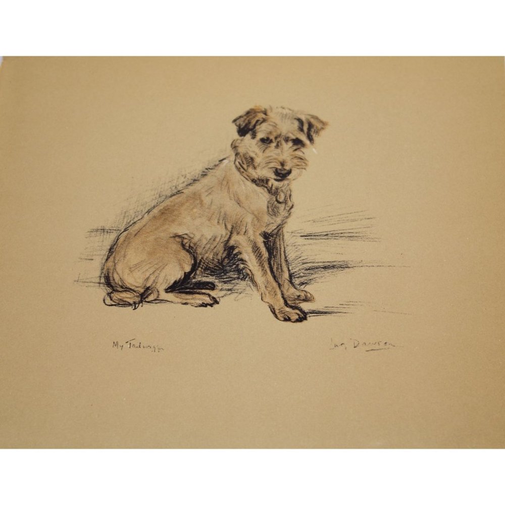 Lucy Dawson 1937 Terrier Print Vintage 90481 Bob